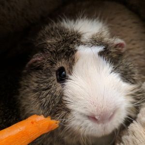 Meet your Posher, Jonathan